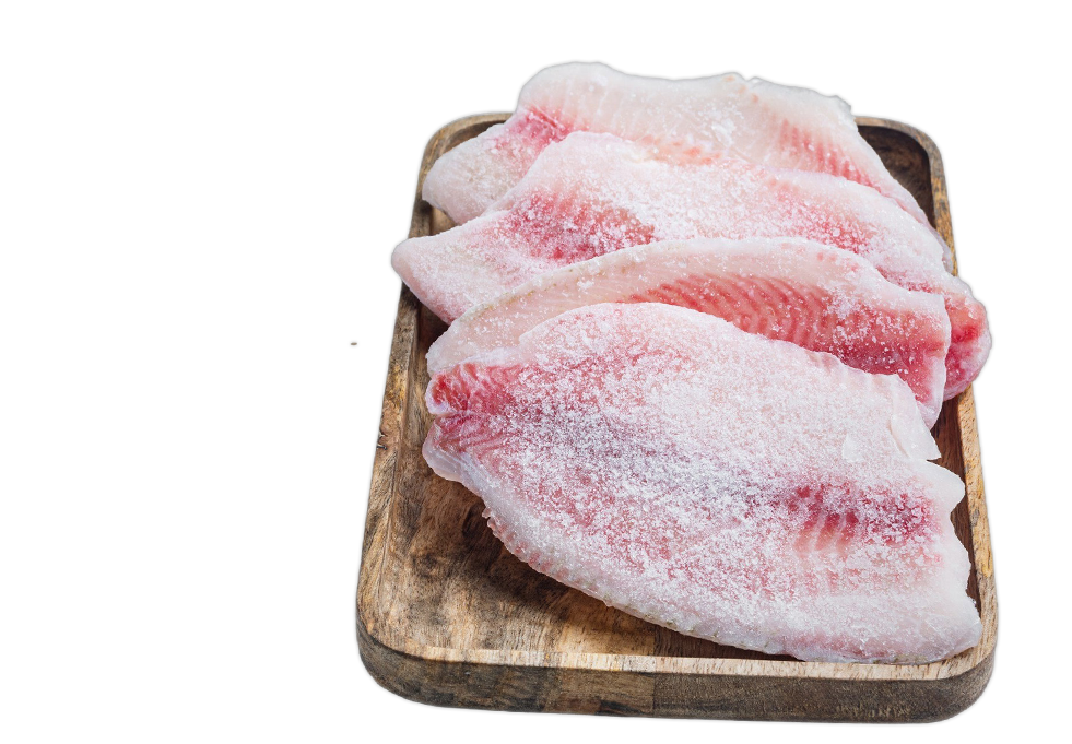 frozen raw tilapia fish meat white table